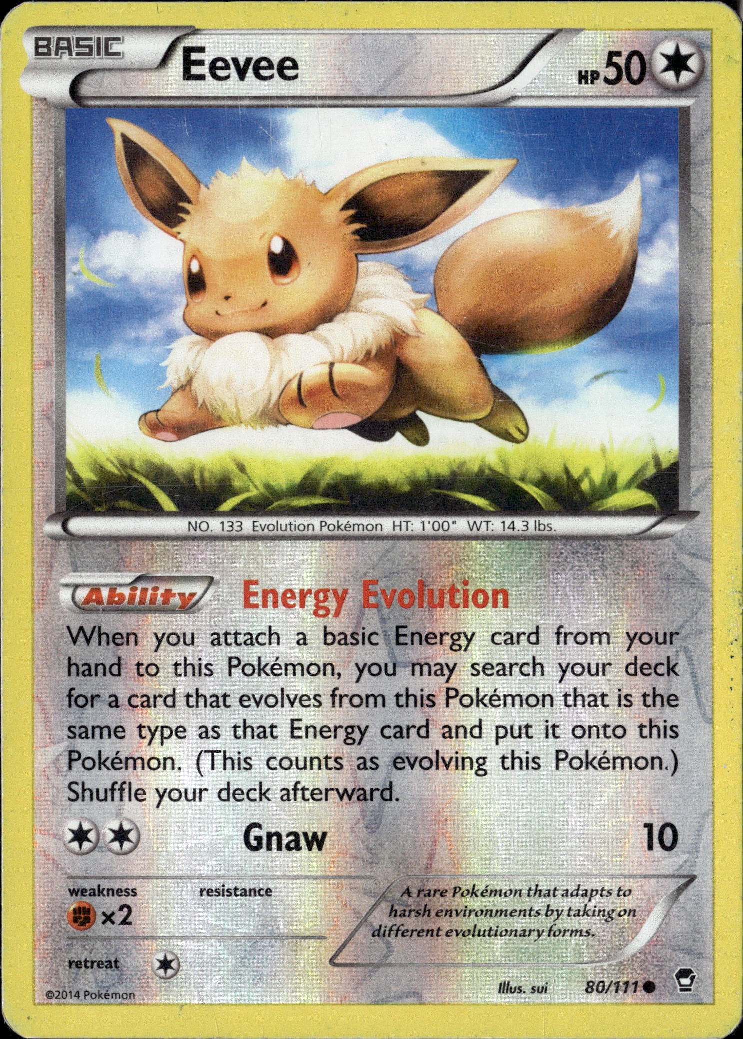 Eevee